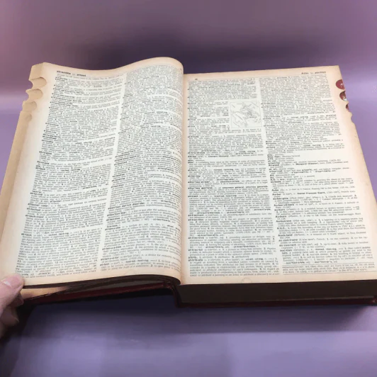 Random House Webster's College Dictionary รูปที่ 18