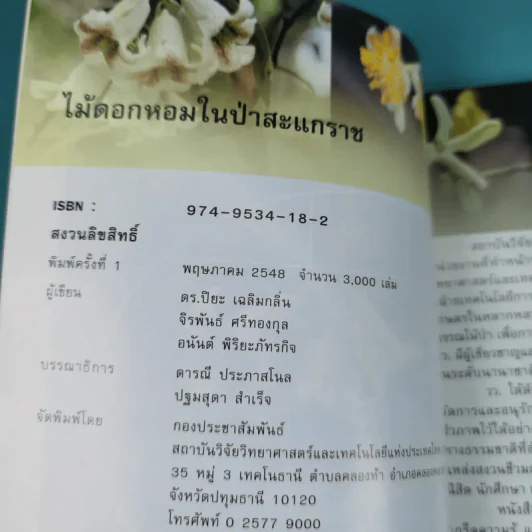 ไม้เอกหอมในป่าสะแกราช รูปที่ 7