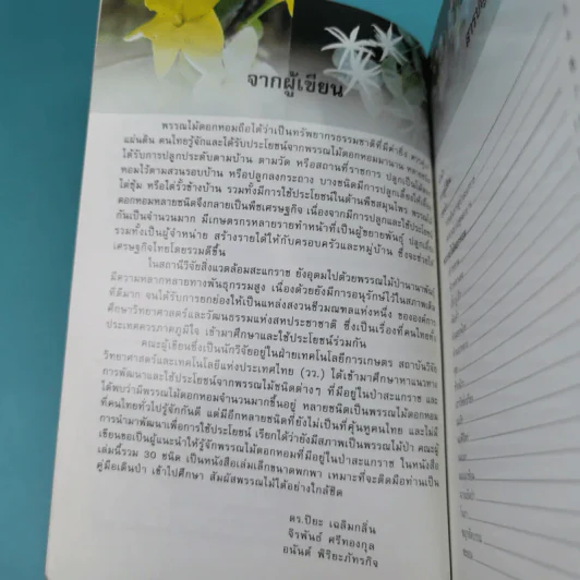 ไม้เอกหอมในป่าสะแกราช รูปที่ 10