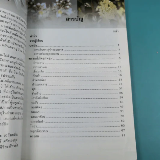 ไม้เอกหอมในป่าสะแกราช รูปที่ 11