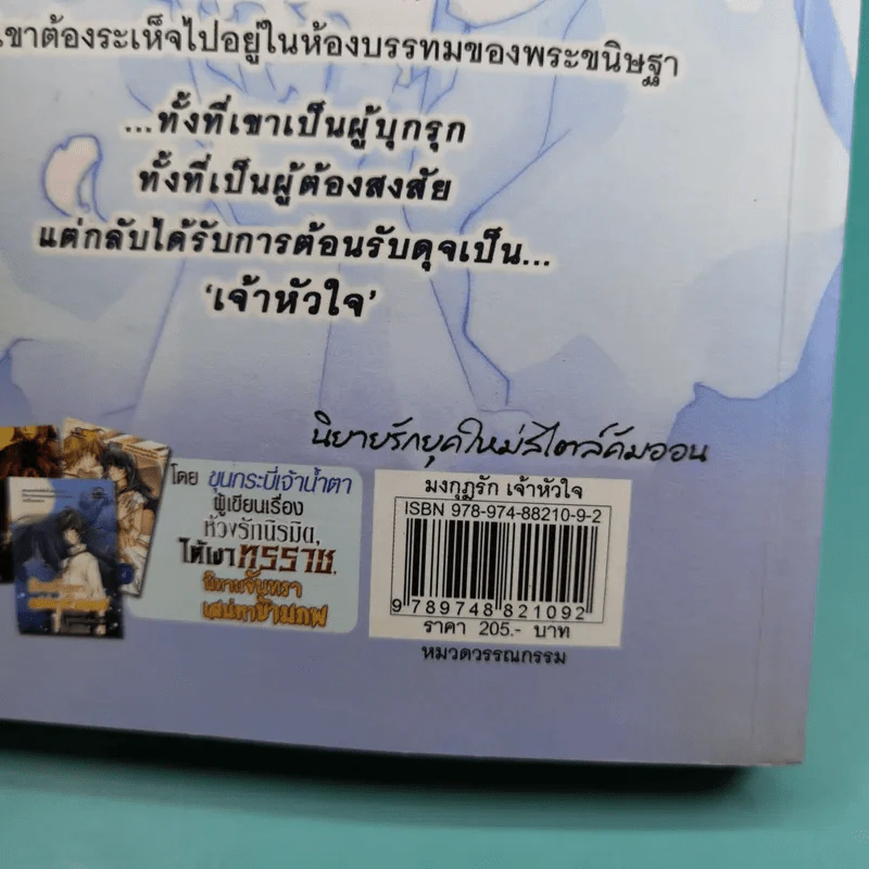 มงกุฎรักเจ้าหัวใจ - ขุนกระบี่เจ้าน้ำตา รูปที่ 9