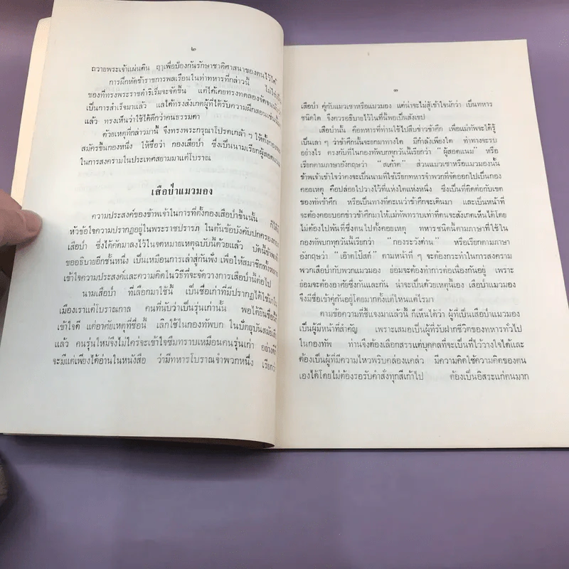 เสือป่า - พระมหาเทพกษัตรสมุห รูปที่ 10