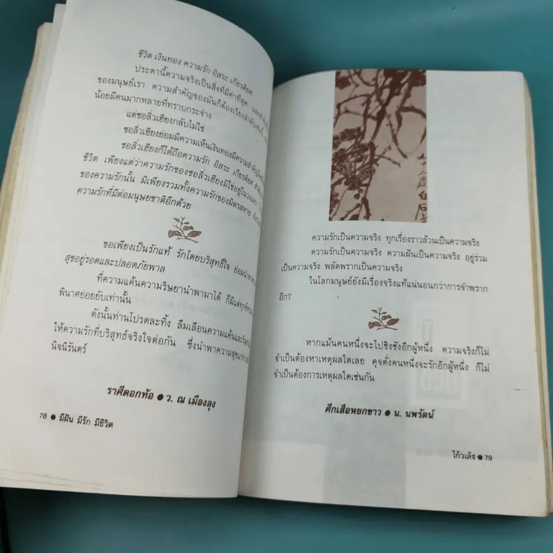 มีฝัน มีรัก มีชีวิต - โก้วเล้ง รูปที่ 13