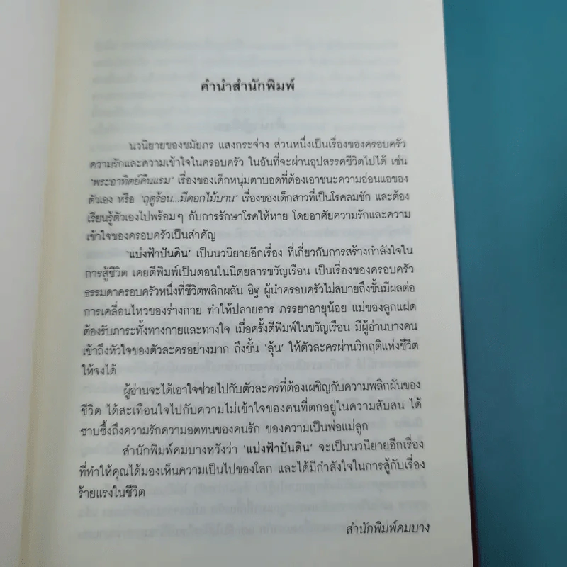แบ่งฟ้าปันดิน - ชมัยภร แสงกระจ่าง รูปที่ 8