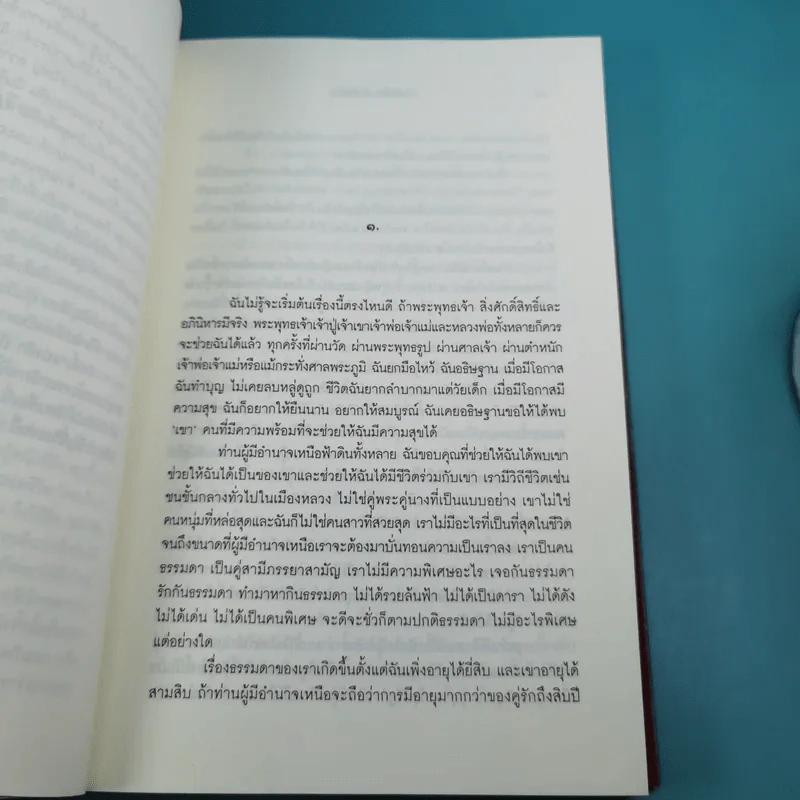 แบ่งฟ้าปันดิน - ชมัยภร แสงกระจ่าง รูปที่ 9