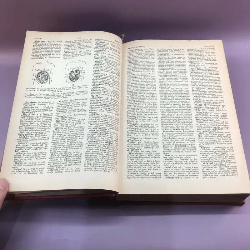 The Reader's Digest Great Encyclopaedic Dictionary ขายรวม 3 เล่ม รูปที่ 19