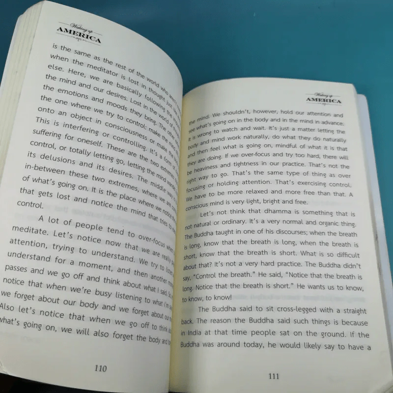 Waking Up America - Jess Peter Koffman รูปที่ 11