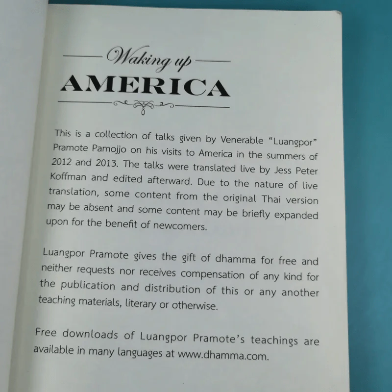 Waking Up America - Jess Peter Koffman รูปที่ 8