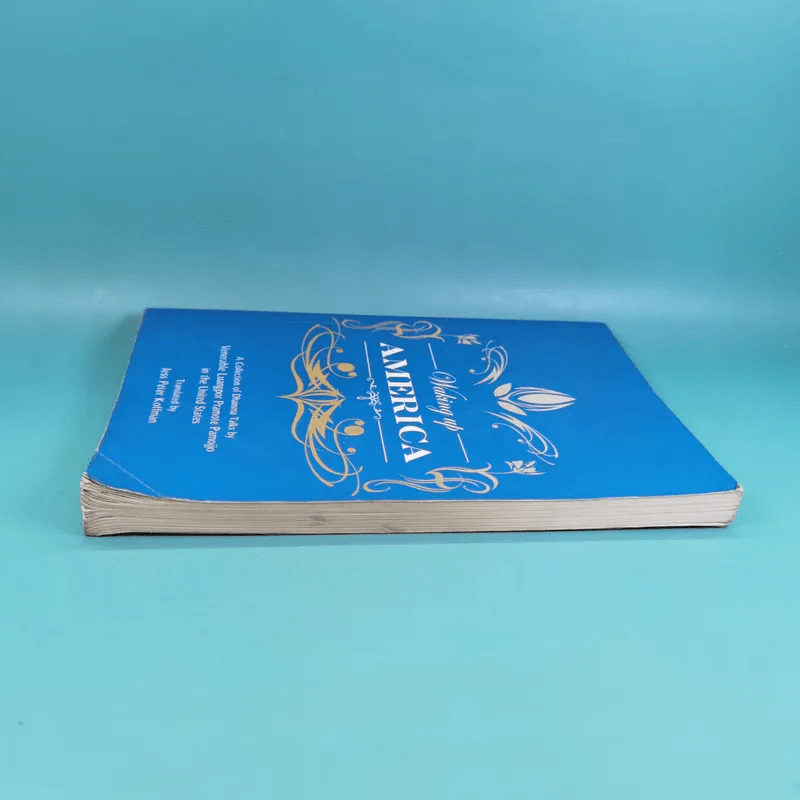 Waking Up America - Jess Peter Koffman รูปที่ 5