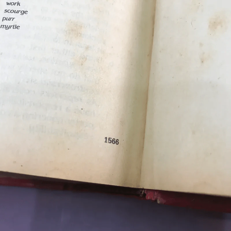 Random House Webster's College Dictionary รูปที่ 20