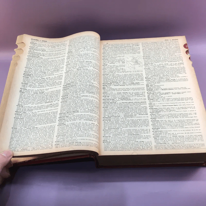 Random House Webster's College Dictionary รูปที่ 18