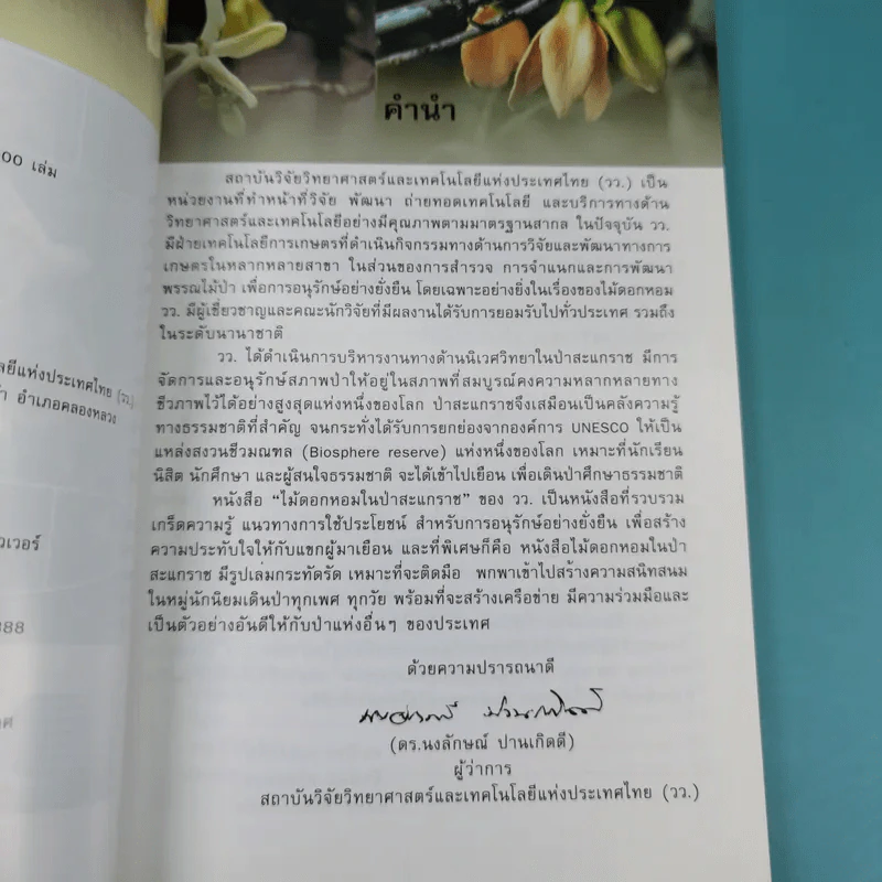 ไม้เอกหอมในป่าสะแกราช รูปที่ 9