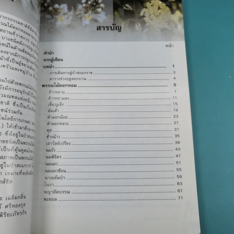 ไม้เอกหอมในป่าสะแกราช รูปที่ 11