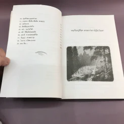 ปล่อยวางอย่างเซน - ละเอียด ศิลาน้อย รูปที่ 11