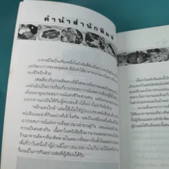 หมึกแดงไกด์ - ม.ล.ศิริเฉลิม สวัสดิวัตน์ รูปที่ 8