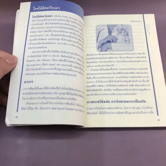 แมว รอบรู้โรคและภัยใกล้ตัว - สพ.ญ.แนน ช้อยสุนิรชร รูปที่ 11