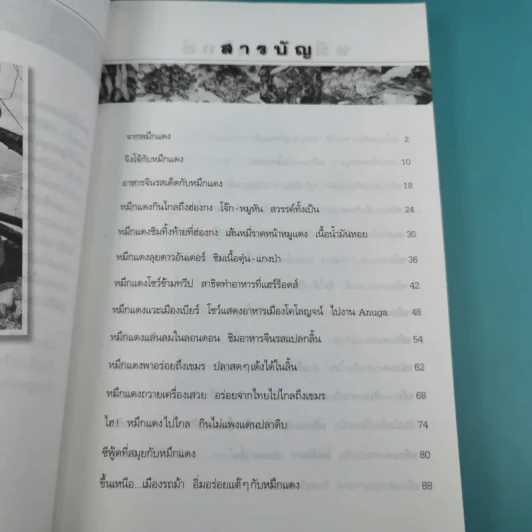 หมึกแดงไกด์ - ม.ล.ศิริเฉลิม สวัสดิวัตน์ รูปที่ 12