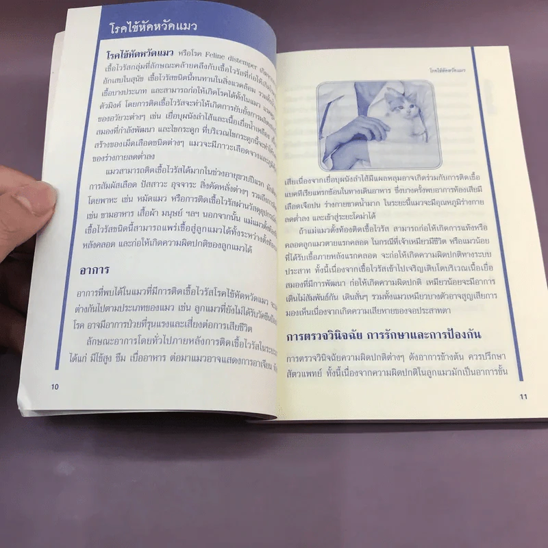 แมว รอบรู้โรคและภัยใกล้ตัว - สพ.ญ.แนน ช้อยสุนิรชร รูปที่ 11