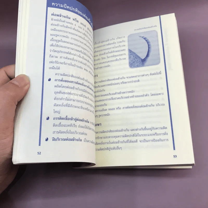 แมว รอบรู้โรคและภัยใกล้ตัว - สพ.ญ.แนน ช้อยสุนิรชร รูปที่ 12
