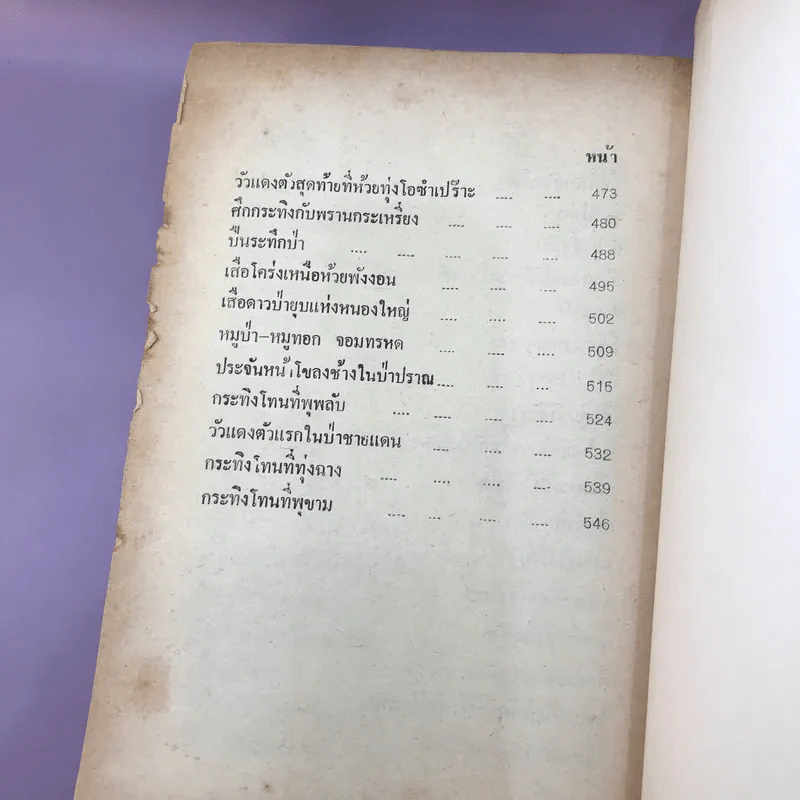 ไพรระทึก - ชาลี เอี่ยมกระสินธุ์ รูปที่ 17