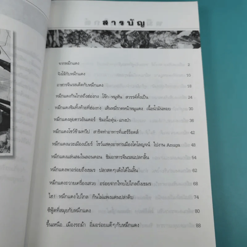 หมึกแดงไกด์ - ม.ล.ศิริเฉลิม สวัสดิวัตน์ รูปที่ 12