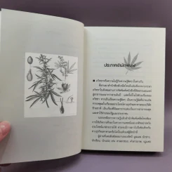 Ganja Mythology กัญชาปกรณัม - อัคนี มูลเมฆ รูปที่ 9