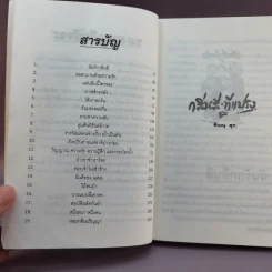 กลิ่นสีและทีแปรง - พิษณุ ศุภ รูปที่ 9