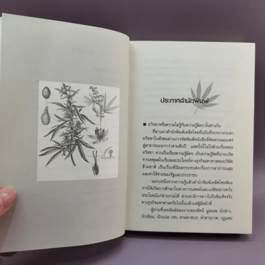 Ganja Mythology กัญชาปกรณัม - อัคนี มูลเมฆ รูปที่ 9