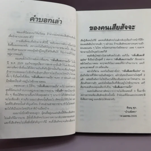กลิ่นสีและทีแปรง - พิษณุ ศุภ รูปที่ 8