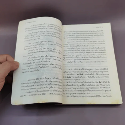 กลิ่นสีและกาวแป้ง - พิษณุ ศุภ รูปที่ 13