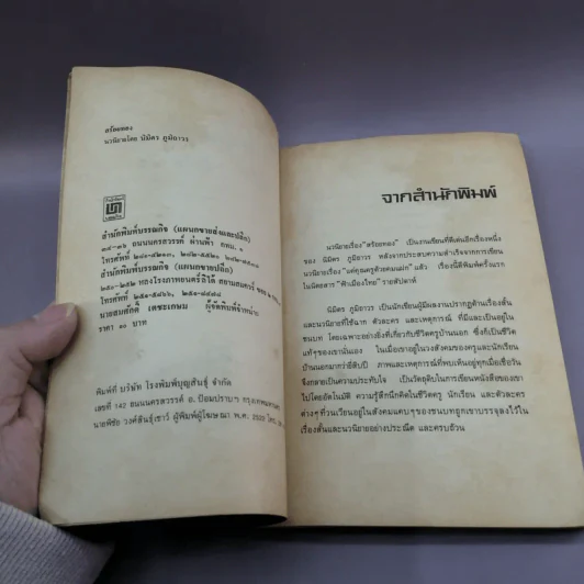 สร้อยทอง - นิมิตร ภูมิถาวร รูปที่ 7
