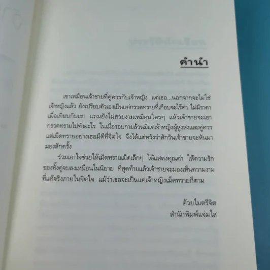 ความรู้สึกดี ที่เรียกว่ารัก ชุดพิเศษ เจ้าหญิงเม็ดทราย - อัญชรีย์ รูปที่ 8
