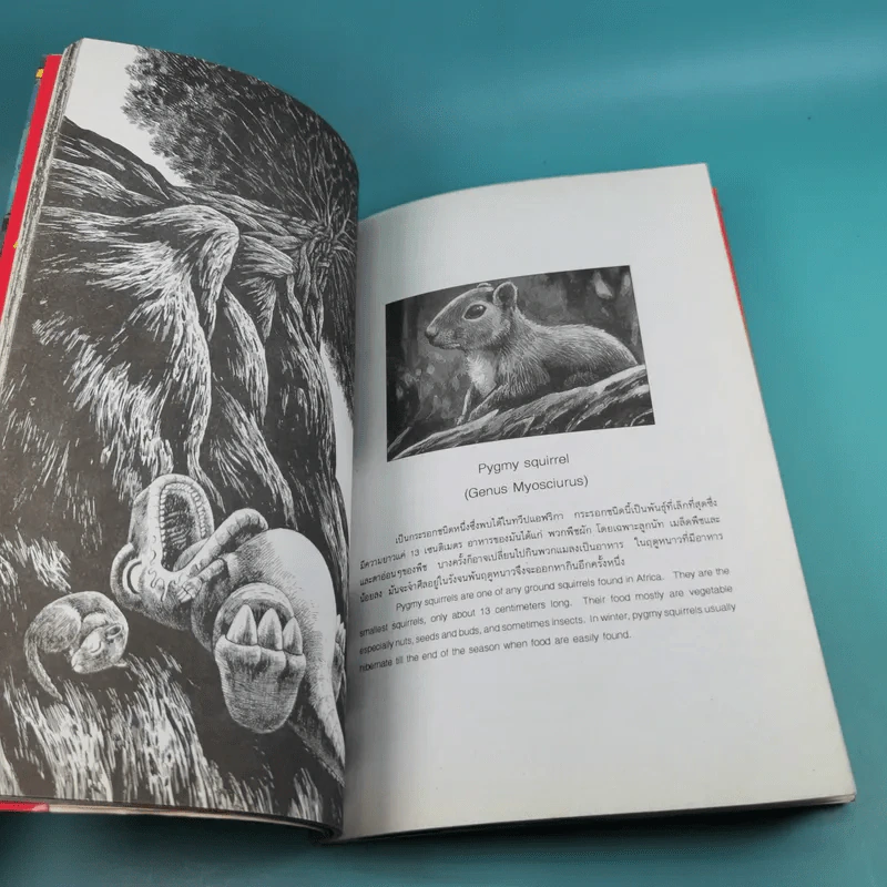 ก๊อง GON เล่ม 4 รูปที่ 10