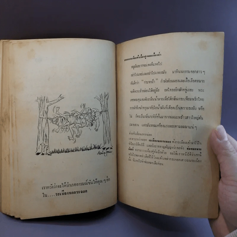 ฝานพระจันทร์ หนังสือชุมนุมเรื่องรักใคร่ที่ตอดเล็มอารมณ์ขัน รูปที่ 14