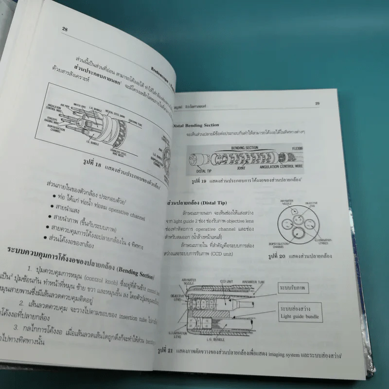 ศัลยศาสตร์วิวัฒน์ Gastrointestinal Endoscopy รูปที่ 13