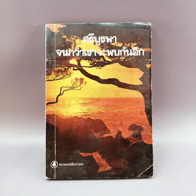 จนกว่าเราจะพบกันอีก - ศรีบูรพา รูปที่ 1