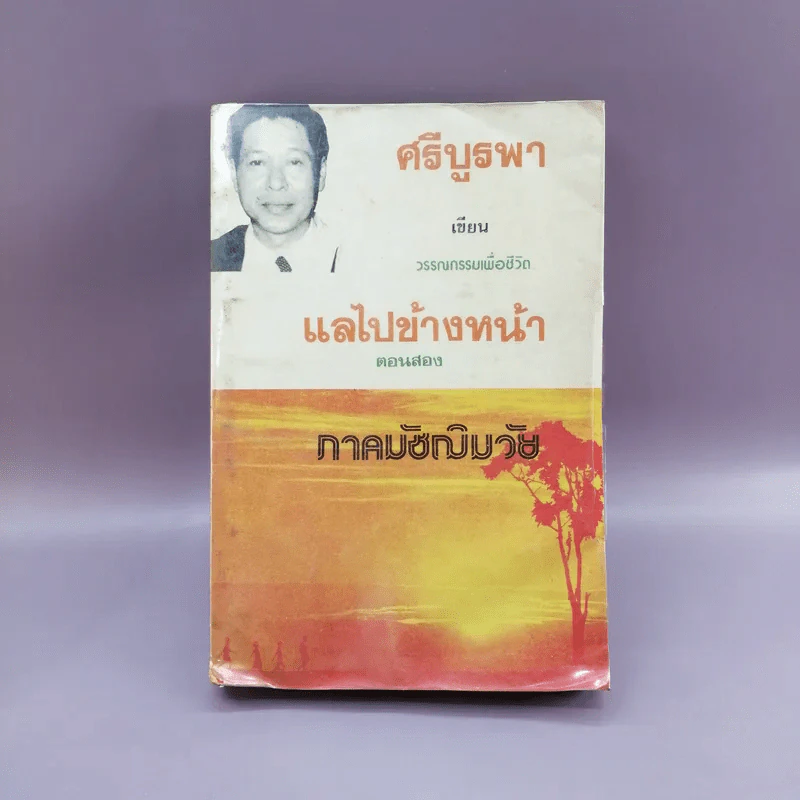 แลไปข้างหน้า + แลไปข้างหน้า ภาคมัชฌิมวัย - ศรีบรูพา รูปที่ 16