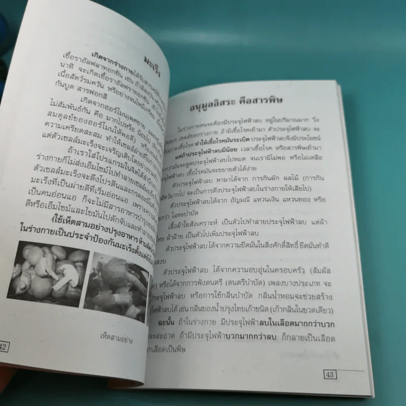 เคล็ดวิธี แก้กรรม-ปัญหาชีวิต กินอย่างไรไร้โรคภัย รูปที่ 11