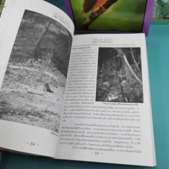 ชีวิตนก จากบันทึกและความทรงจำ Bird Life From Records & Remembrance Vol.1-3 - สุธี ศุภรัฐวิกร รูปที่ 14