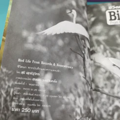 ชีวิตนก จากบันทึกและความทรงจำ Bird Life From Records & Remembrance Vol.1-3 - สุธี ศุภรัฐวิกร รูปที่ 7
