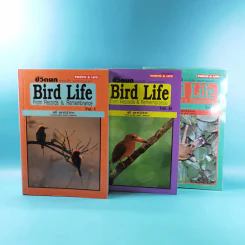 ชีวิตนก จากบันทึกและความทรงจำ Bird Life From Records & Remembrance Vol.1-3 - สุธี ศุภรัฐวิกร รูปที่ 6