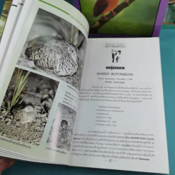 ชีวิตนก จากบันทึกและความทรงจำ Bird Life From Records & Remembrance Vol.1-3 - สุธี ศุภรัฐวิกร รูปที่ 13