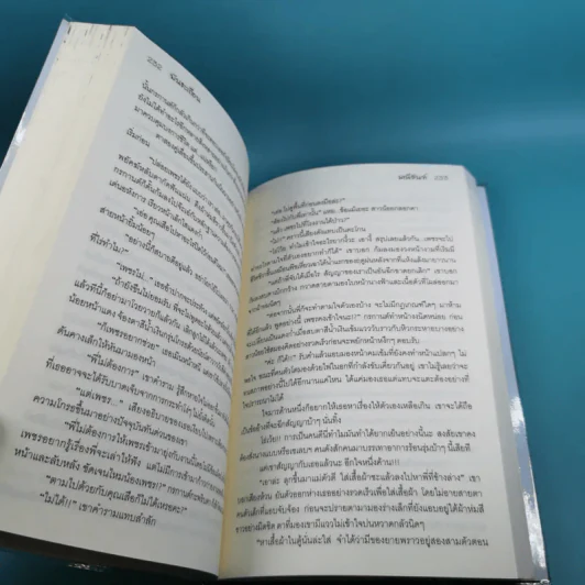 พันธะเถื่อน - มณีจันท์ รูปที่ 12