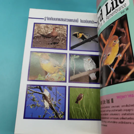 ชีวิตนก จากบันทึกและความทรงจำ Bird Life From Records & Remembrance Vol.1-3 - สุธี ศุภรัฐวิกร รูปที่ 26