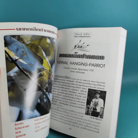 ชีวิตนก จากบันทึกและความทรงจำ Bird Life From Records & Remembrance Vol.1-3 - สุธี ศุภรัฐวิกร รูปที่ 32