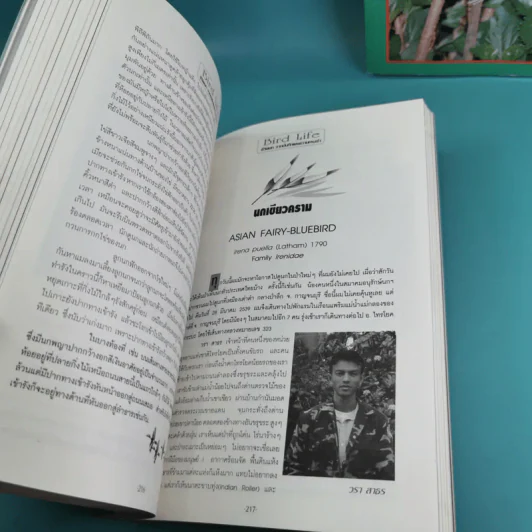 ชีวิตนก จากบันทึกและความทรงจำ Bird Life From Records & Remembrance Vol.1-3 - สุธี ศุภรัฐวิกร รูปที่ 24