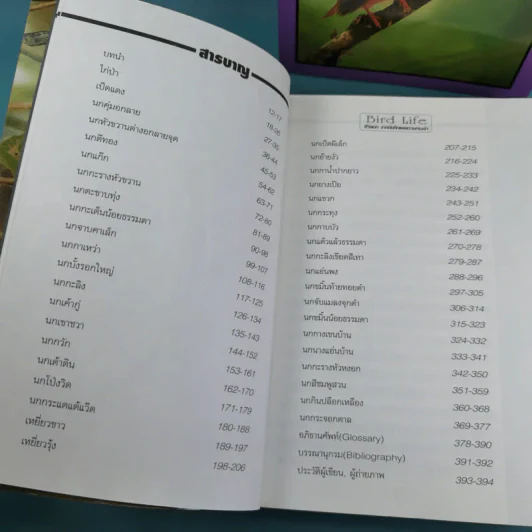 ชีวิตนก จากบันทึกและความทรงจำ Bird Life From Records & Remembrance Vol.1-3 - สุธี ศุภรัฐวิกร รูปที่ 12