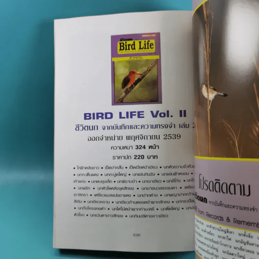 ชีวิตนก จากบันทึกและความทรงจำ Bird Life From Records & Remembrance Vol.1-3 - สุธี ศุภรัฐวิกร รูปที่ 34