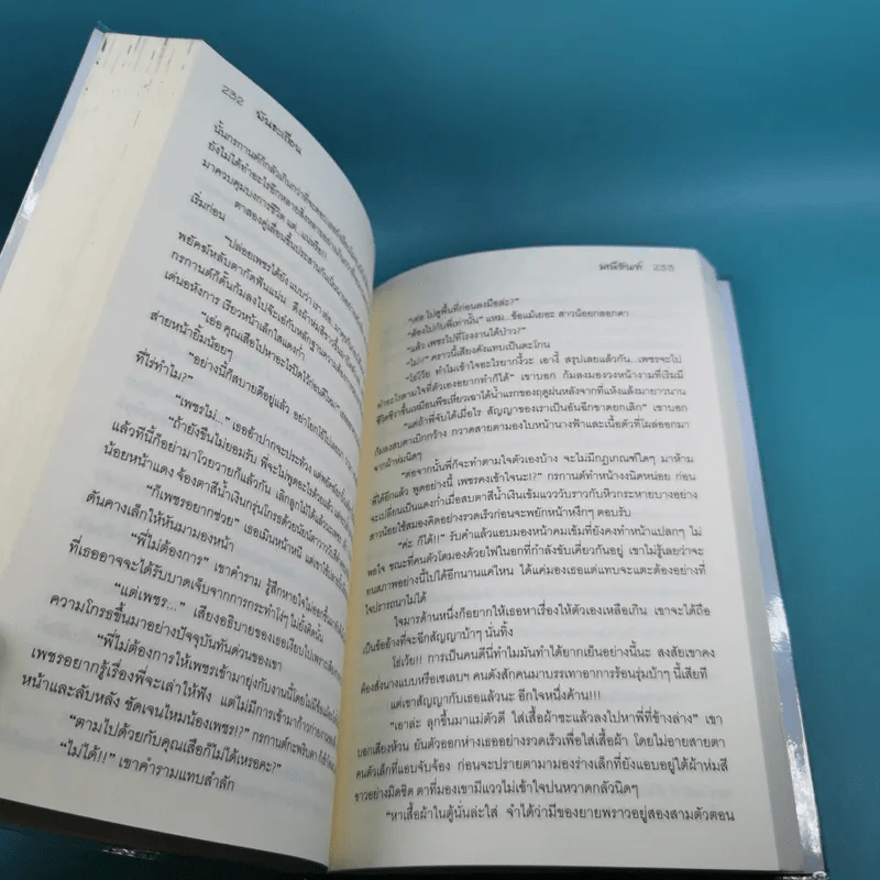 พันธะเถื่อน - มณีจันท์ รูปที่ 12