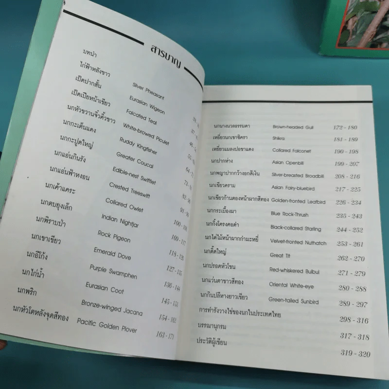 ชีวิตนก จากบันทึกและความทรงจำ Bird Life From Records & Remembrance Vol.1-3 - สุธี ศุภรัฐวิกร รูปที่ 21